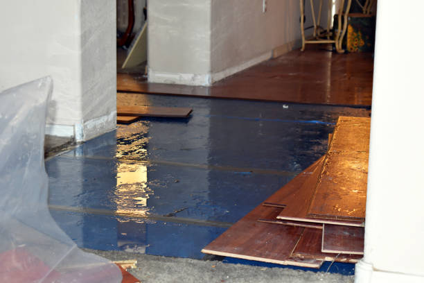 Professional Water Damage Restoration technician working in Goshen, KY